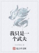 我只是一个武夫