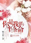 你是我的半条命