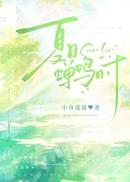 夏日蝉鸣时
